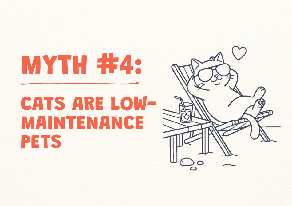 Cat myth #4